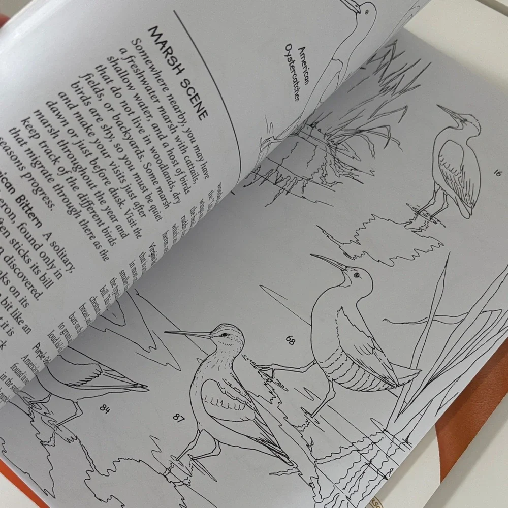 2 NEW Peterson Field Guide Coloring Books - Birds & Butterflies with stickers🦋